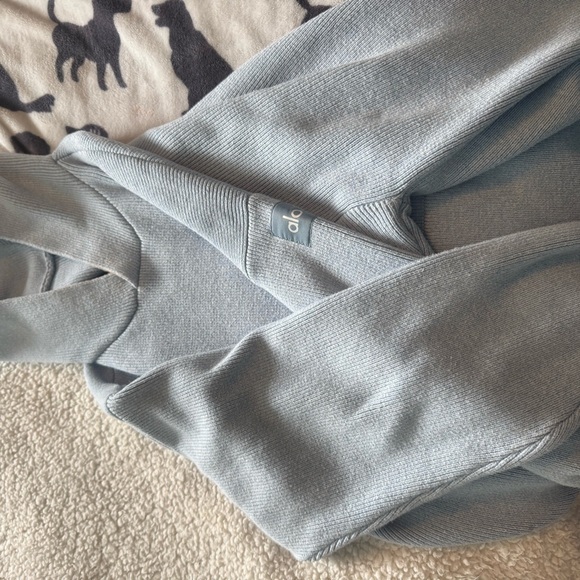 Alo Yoga Scholar Hooded Sweater- light blue